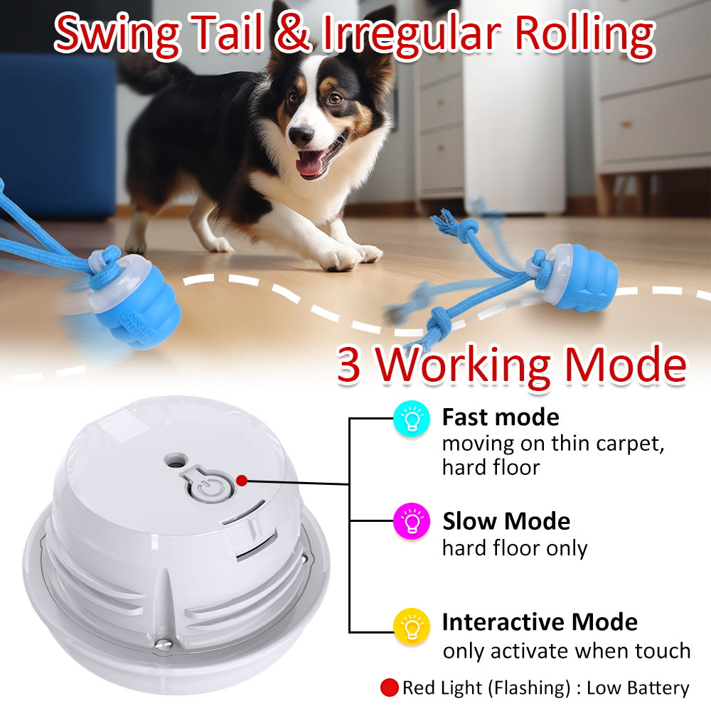 Unleash the Fun with the Electric Pet Ball Toy!